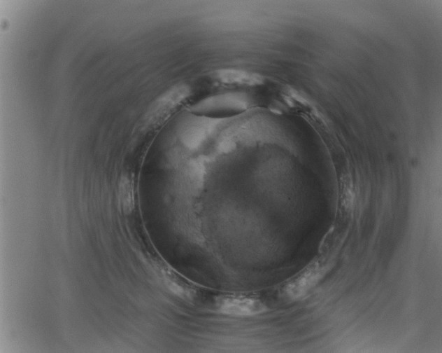 X0000062130471200512161156