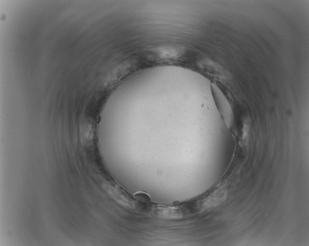 X0000062130472200512161156