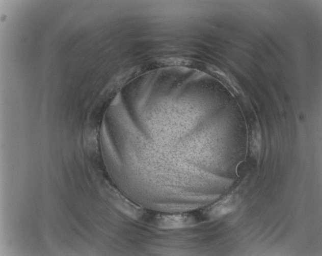 X0000062130473200512161156