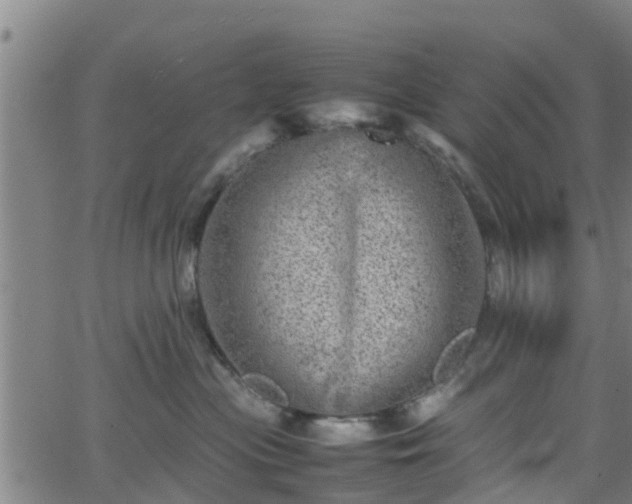 X0000062130477200512161156