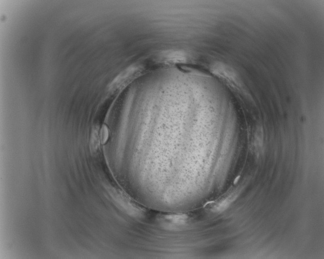 X0000062130478200512161156