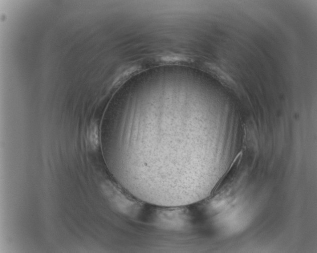 X0000062130479200512161156