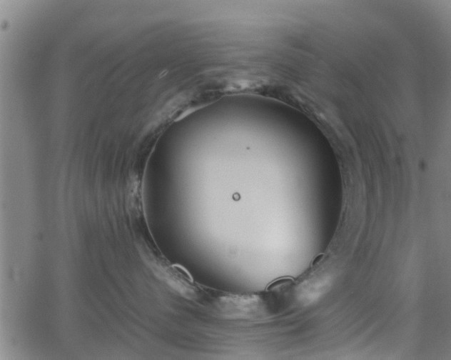 X0000062130480200512161156