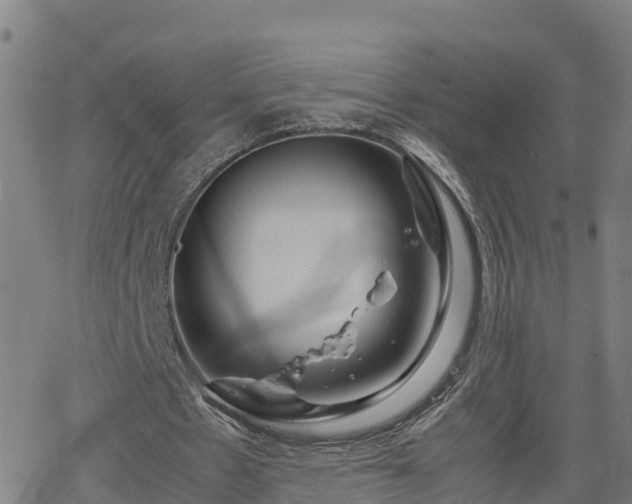 X0000062130481200512161155