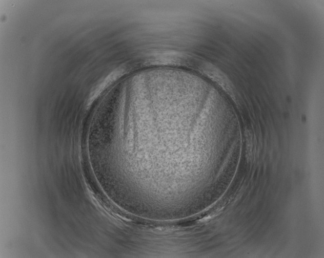 X0000062130482200512161155