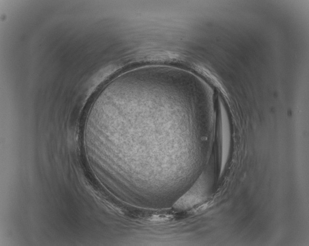 X0000062130483200512161155