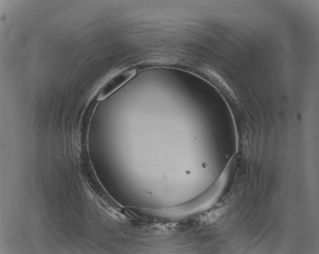 X0000062130484200512161155