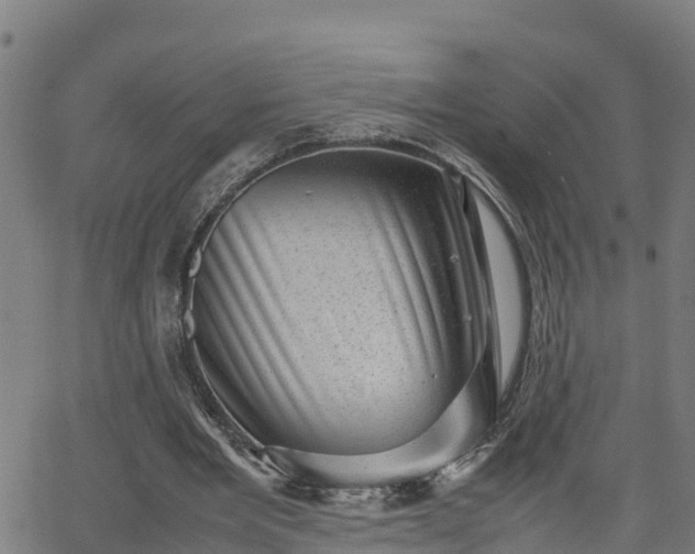 X0000062130485200512161155