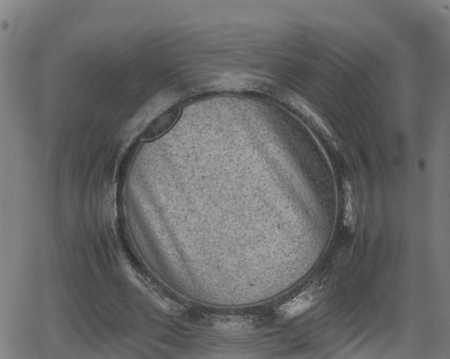 X0000062130486200512161155