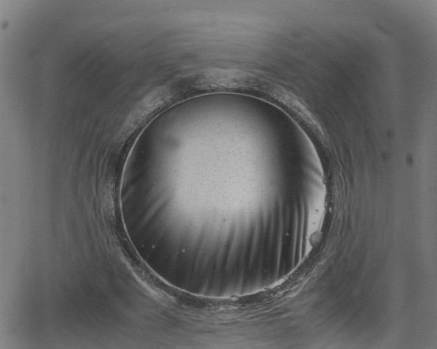 X0000062130489200512161155