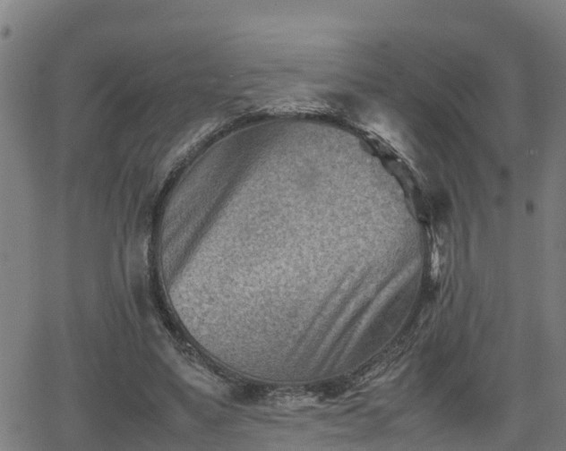 X0000062130491200512161155