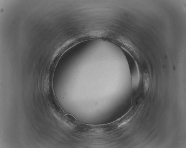 X0000062130492200512161155