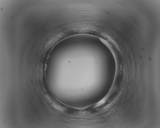 X0000062130493200512161155