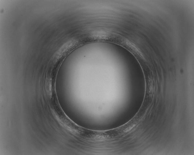 X0000062130494200512161155