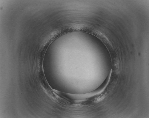 X0000062130496200512161155