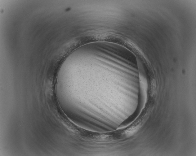 X0000062130497200512161155