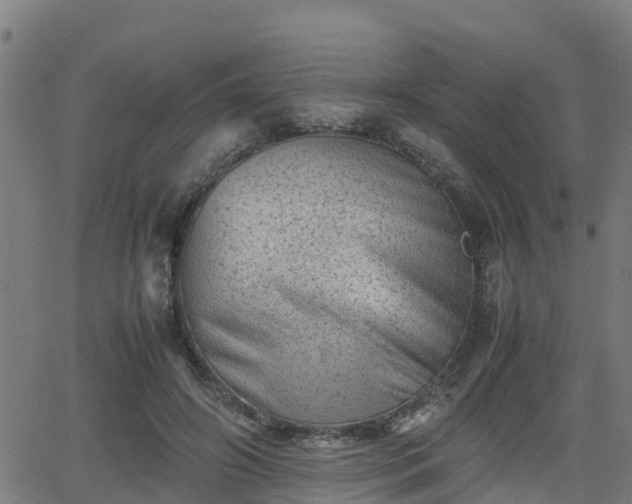 X0000062130498200512161155