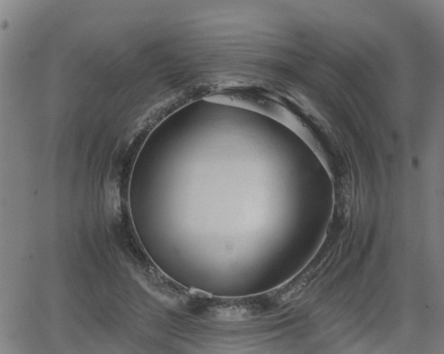 X0000062130500200512161155