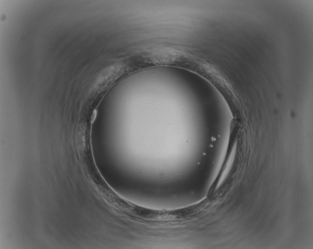 X0000062130501200512161155