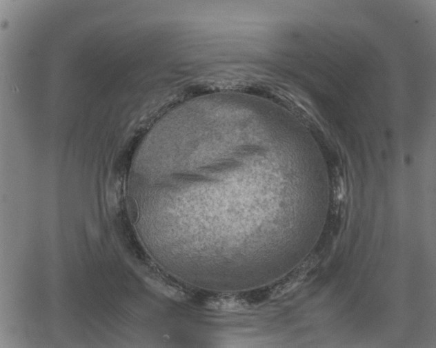 X0000062130503200512161155