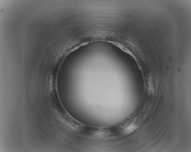 X0000062130504200512161155