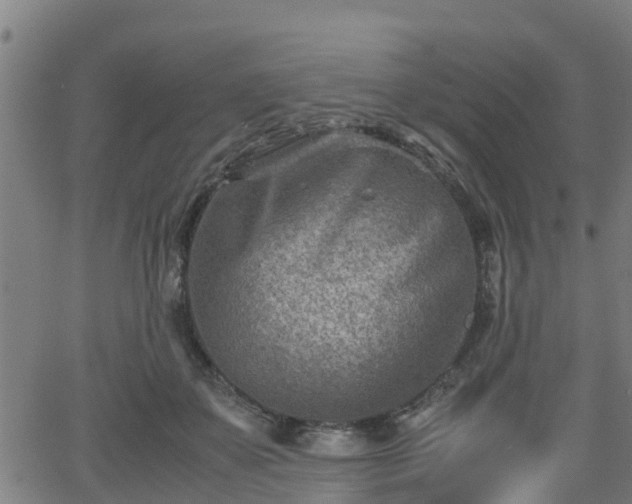 X0000062130507200512161155