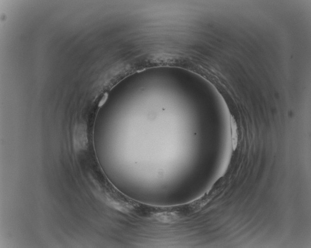 X0000062130508200512161155