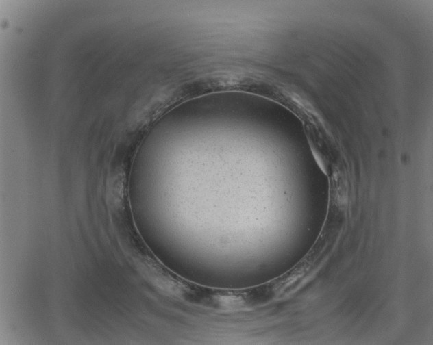 X0000062130509200512161155