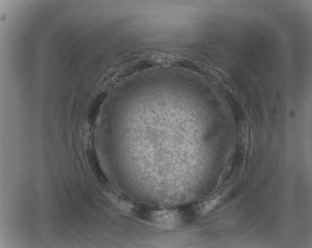 X0000062130511200512161155