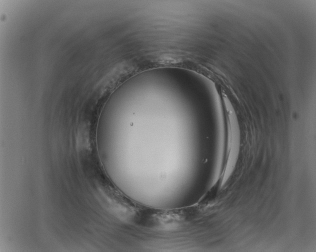 X0000062130512200512161155