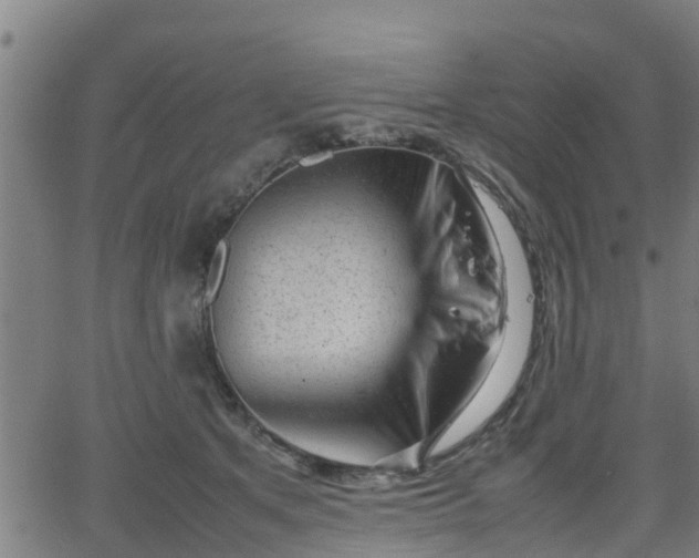 X0000062130513200512161155