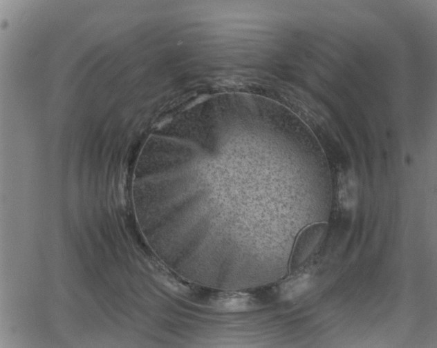 X0000062130514200512161155