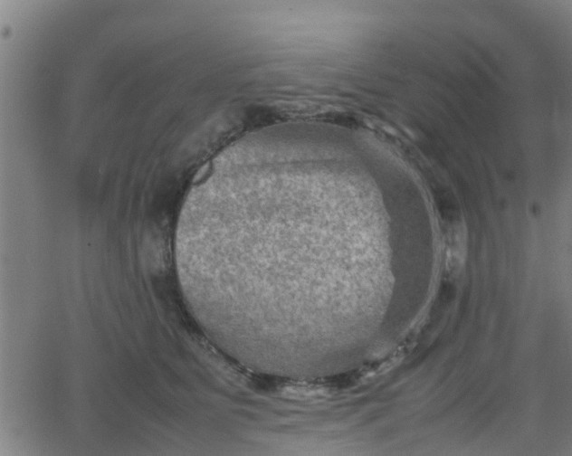 X0000062130515200512161155