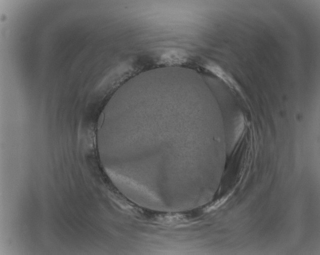 X0000062130517200512161155