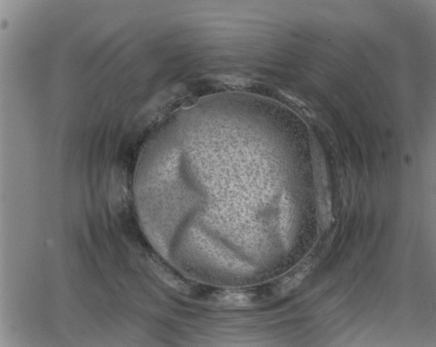 X0000062130518200512161155