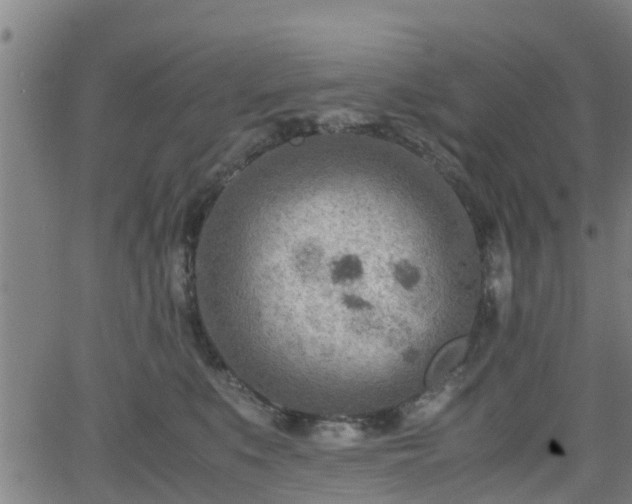 X0000062130519200512161155