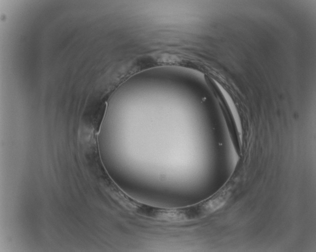 X0000062130521200512161155