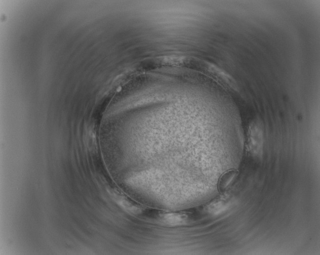 X0000062130522200512161155