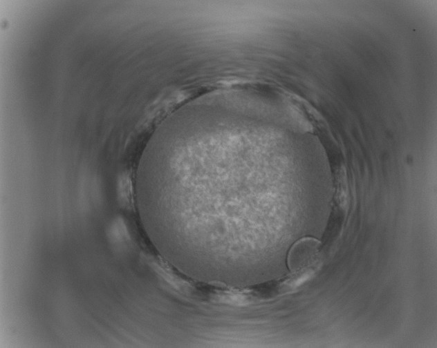 X0000062130523200512161155