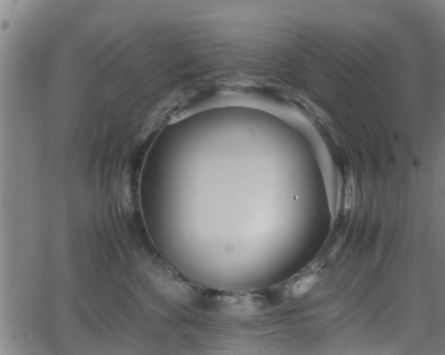 X0000062130524200512161155