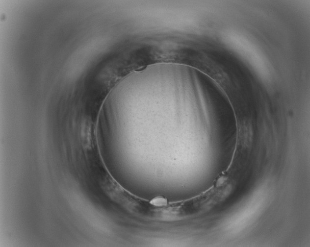 X0000062130525200512161155