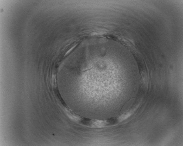 X0000062130527200512161155