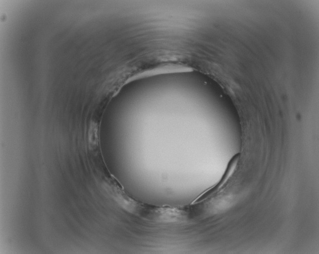 X0000062130528200512161155