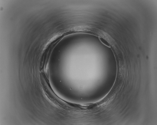 X0000062130530200512161154