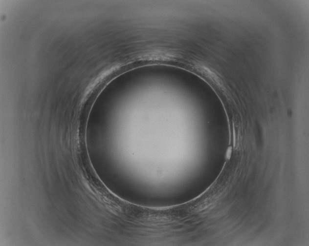 X0000062130531200512161154