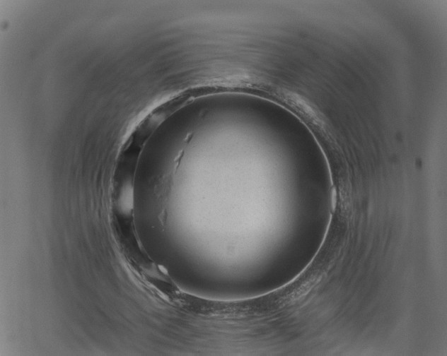 X0000062130532200512161154