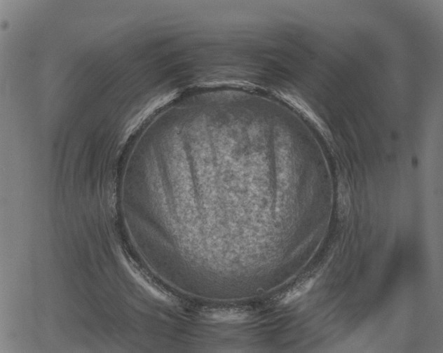 X0000062130533200512161154