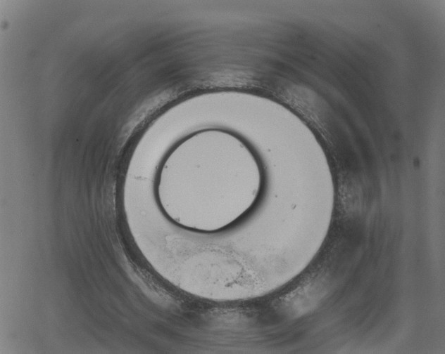 X0000062130534200512161154