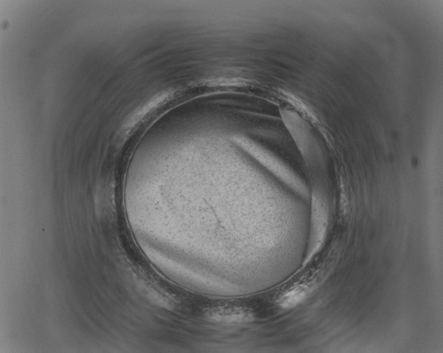 X0000062130535200512161154