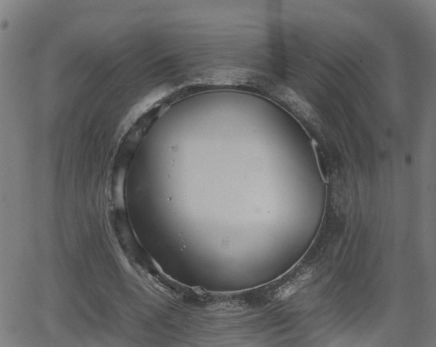 X0000062130536200512161154